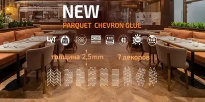 Новинки и Акции