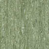 Линолеум Таркетт IQ Оптима Саге Зелёный 0836 (Tarkett Optima Sage Green)