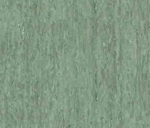 Линолеум Таркетт IQ Оптима Тёмный Зелёный 0252 (Tarkett Optima Dark Green)