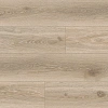Ламинат Floorwood Paradigma 8209 Дуб Асти