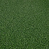 Линолеум Ай Ви Си Бинго Грасс 25 (Ivc Bingo Grass)