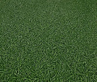 Линолеум Ай Ви Си Бинго Грасс 25 (Ivc Bingo Grass) — фото 3