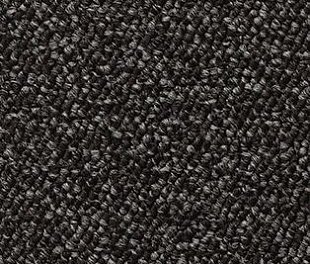 Ковролин и ковровая плитка Associated Weavers Maxima 99