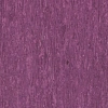 Линолеум Таркетт IQ Оптима Пурпурный 0255 (Tarkett Optima Purple)