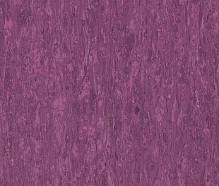 Линолеум Tarkett IQ Optima Purple 0255