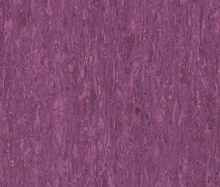 Линолеум Таркетт IQ Оптима Пурпурный 0255 (Tarkett Optima Purple)
