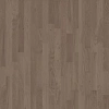 Паркетная доска Таркетт Сальса Дуб Гранит BR (Tarkett Salsa Oak Granite)