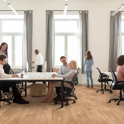 Линолеум Profi Premium Falco 2