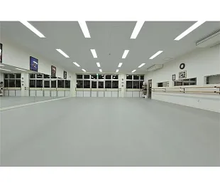 Линолеум Аполуза СпортФлор PVC Танец 01 (Apoluza SportFloor Dance) — фото 3