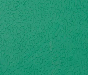 Спортивный линолеум Аполуза СпортФлор PVC GEM 6.5 зелёный (Apoluza Sportfloor)