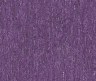 Линолеум Tarkett IQ Optima Lilac 0256