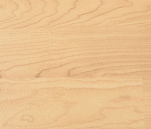 Спортивный линолеум Apoluza Sportfloor PVC GEM 4.5 под дерево