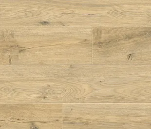 Ламинат Флорвуд Парадигма 8335 Дуб Риман (Floorwood Paradigma) — фото 2