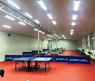 Напольное покрытие для настольного тенниса Аполуза Табле Теннис 4.5 (Apoluza Table Tennis) — фото 2