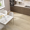 Кварц-винил (ПВХ плитка) Альпайн Флор Премиум XL СПС ECO 7-12 Дуб капучино ABA (Alpine Floor PREMIUM SPC)