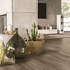Пробковое покрытие Викандерс Вуд Резист Эко FDYM001 Кварц Дуб (Wicanders Wood Resist Eco Quartz Oak)
