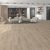 Кварц-винил (ПВХ плитка) Альпайн Флор Премиум XL СПС ECO 7-24 Дуб Эльнат ABA (Alpine Floor PREMIUM SPC)