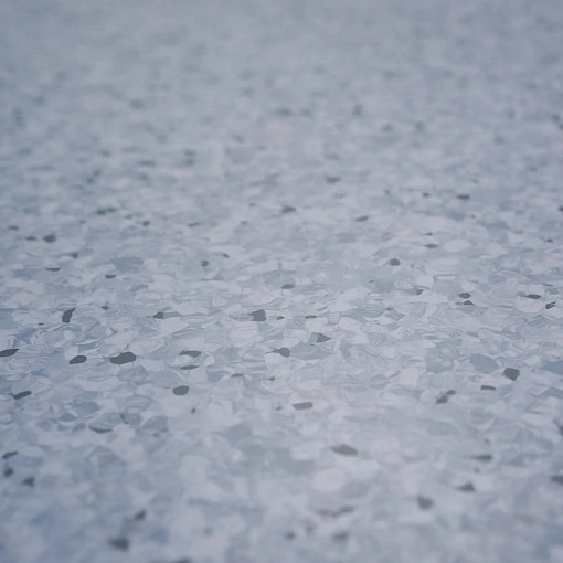 Линолеум Tarkett Primo Plus 309