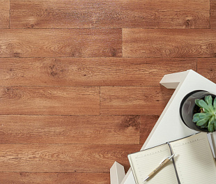 Линолеум Sinteros Delta Kent 2M