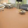 Линолеум Таркетт IQ Мелодия 2643 (Tarkett Melodia)