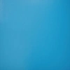 Линолеум спортивный Таркетт Омниспортс Актив 65 Скай Синий (Tarkett Omnisports ACTION Sky blue)