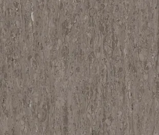 Линолеум Таркетт IQ Оптима Светлый Коричневый 0249 (Tarkett Optima Light Brown)