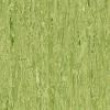 Линолеум Таркетт IQ Оптима Зелёный 0861 (Tarkett Optima Green)