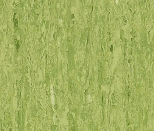 Линолеум Таркетт IQ Оптима Зелёный 0861 (Tarkett Optima Green)